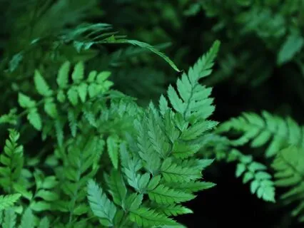 Meditation for letting go of the past