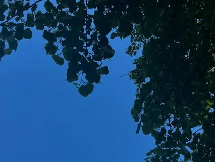 Meditation For Letting Go Of Thoughts