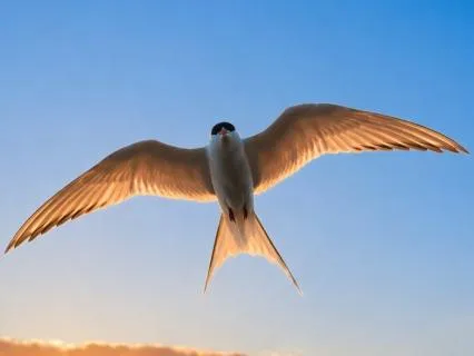 Meditation For Letting Go & Starting Again