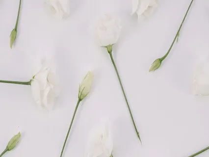 Guided Meditation For Letting Go