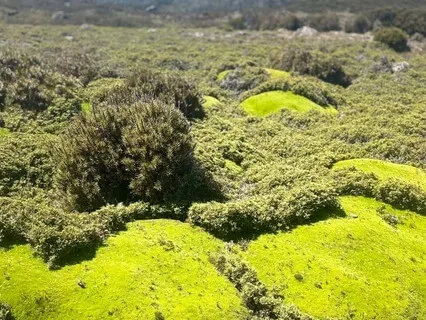 Meditation For Letting Go