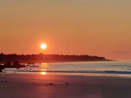 Meditation For Lion's Gate Portal