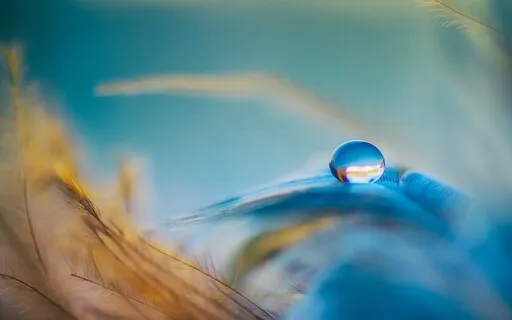 Meditation For Malignant & Benign Growths (W/ Music)