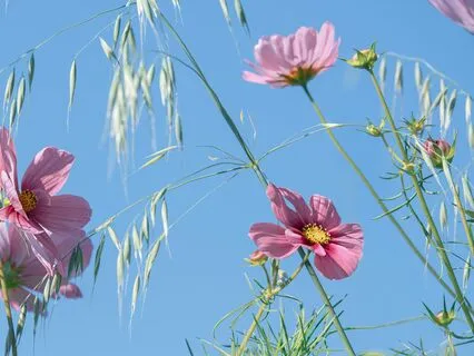 Meditation For Managing Anticipatory Anxiety