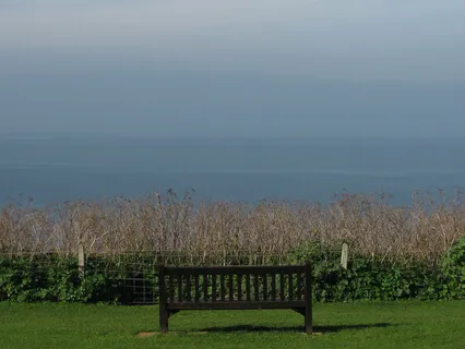 Meditation For Managing Pain