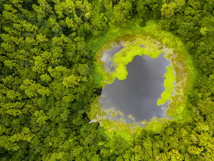 Manifestation & Summoning Earthly Support