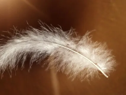 Meditation For Manifestation