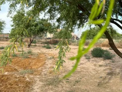 Meditation For Mental Well-Being