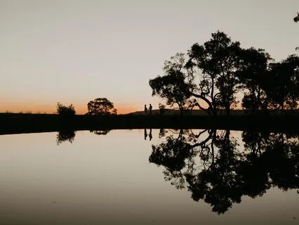 Meditation For Mind-Body Connection