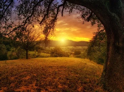 Meditation för Mjukhet i Kropp och Sinne