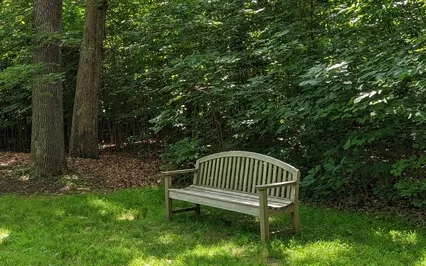 Meditation For Moments Of Suffering