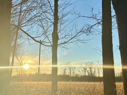 Meditation For Moral Injury