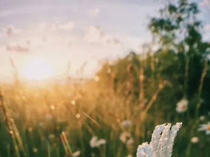 Meditation For Morning Anxiety