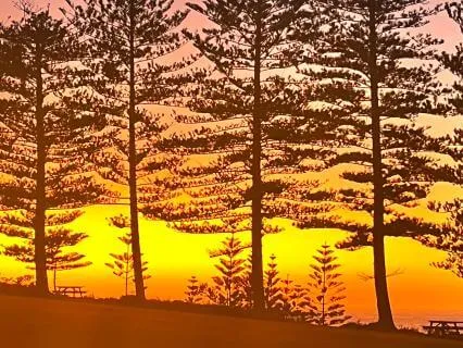 Meditation For Nervous System Reset & Emotional Safety