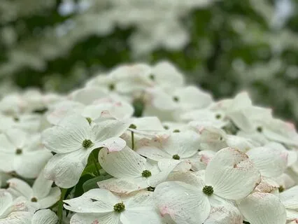 Meditation For New Beginnings