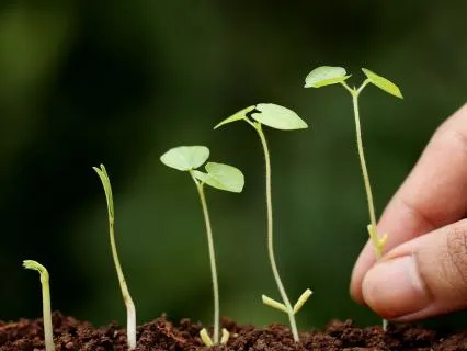 Meditation For New Beginnings