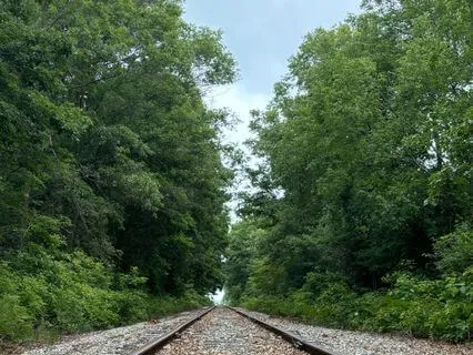 Meditation For New Year