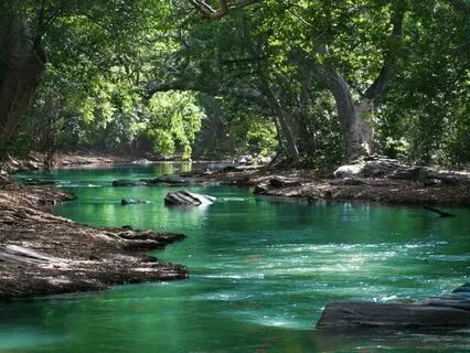 Meditation For Obsessing Or Over-Thinking