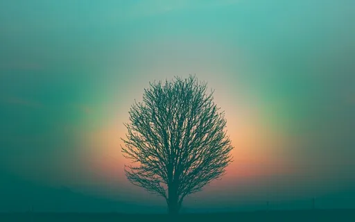 Meditation For Over Thinking