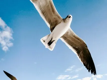 Meditation For Overcoming Addiction