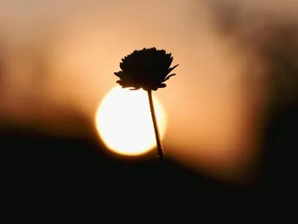 Meditation For Overcoming All Difficult Relationships