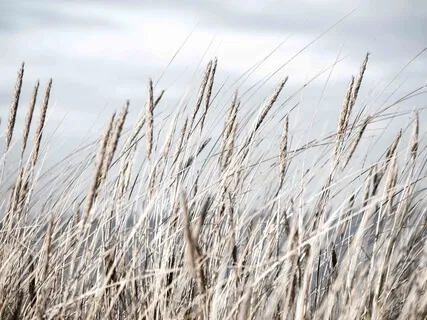 Meditation for Overcoming Fear, Anxiety & Doubt