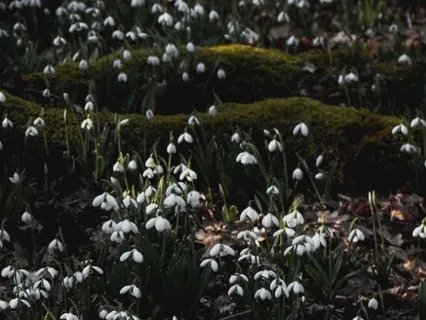 Meditation For Overthinkers: Finding Ease In Uncertainty