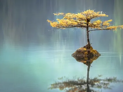 Meditation For Overthinking