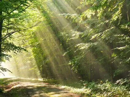 Meditation For Overwhelm Relief