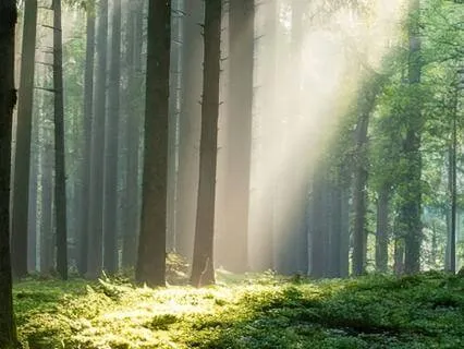 Meditation For Overwhelm