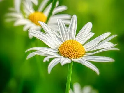 Meditation For Pain Relief