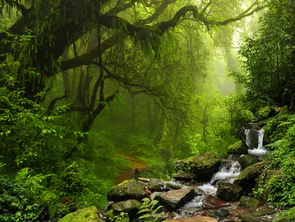 Practice For Panic And Anxiety