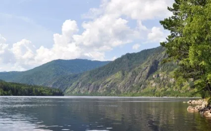 Meditation For Peace (4 Minutes)