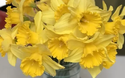 Meditation For Peace