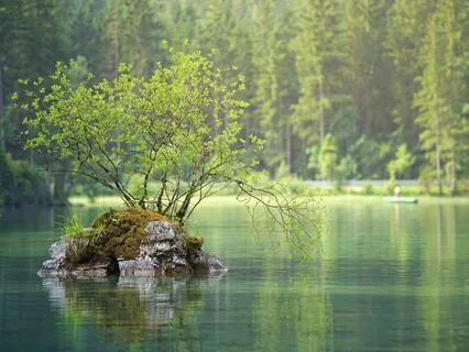 Meditation For Peace And Calm