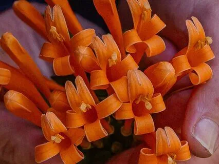 Meditation For People Who Maybe Experiencing Racism