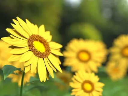 Meditation For Physical Healing