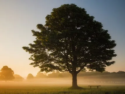 Navigating Post-Traumatic Stress From A Break-Up