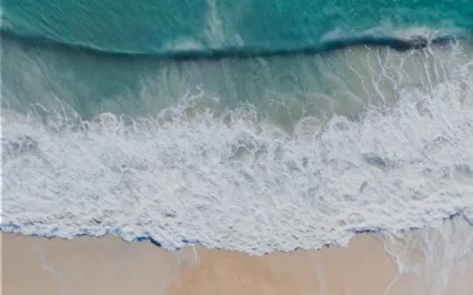 Meditation For Presence