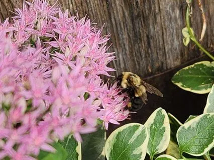 Meditation For Presence And Self-Love