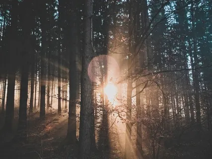 Cultivating Presence Practice