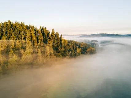 Finding Comfort & Safety During Quarantine