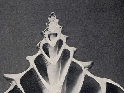 Practice For Quick Comfort + Shielding