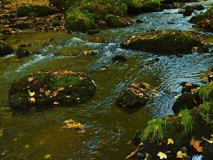 Meditation For Radiant Health: A Guided Journey