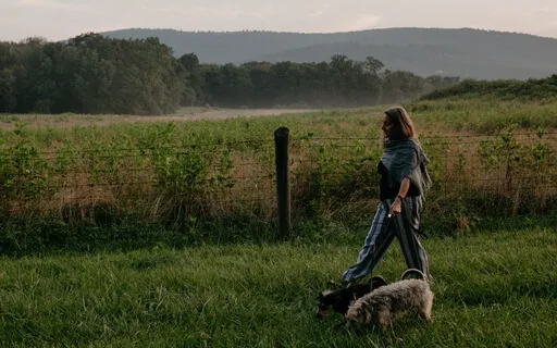 Meditation For Receiving And Giving Energy Of Compassion