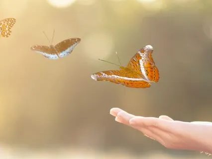 Meditation For Reducing Inflammation And Releasing Pain