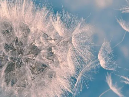 Meditation For Releasing Anxiety