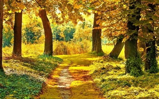 Meditation For Releasing Grief And Difficult Emotions