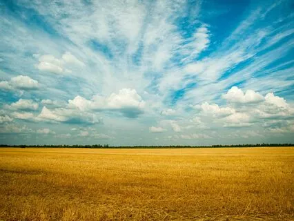 Meditation For Releasing Negative Emotions