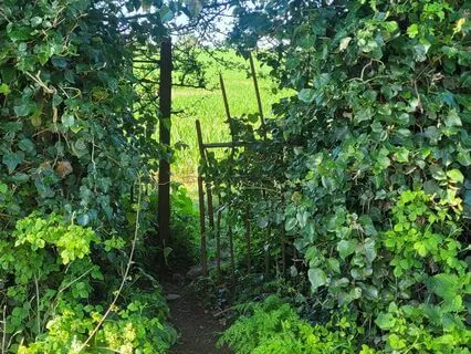 Meditation For Releasing Stress And Anxiety Around Exams